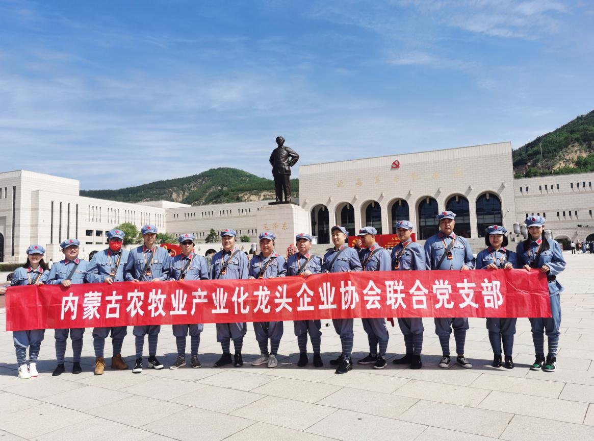 內(nèi)蒙古農(nóng)牧業(yè)產(chǎn)業(yè)化龍頭企業(yè)協(xié)會聯(lián)合黨支部赴延安革命圣地開展“學(xué)黨史、感黨恩、跟黨走”主題黨日活動